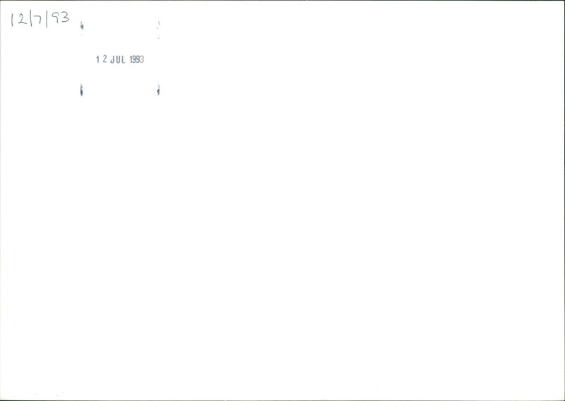 1993 MUSIC CONCERT - Vintage Photograph