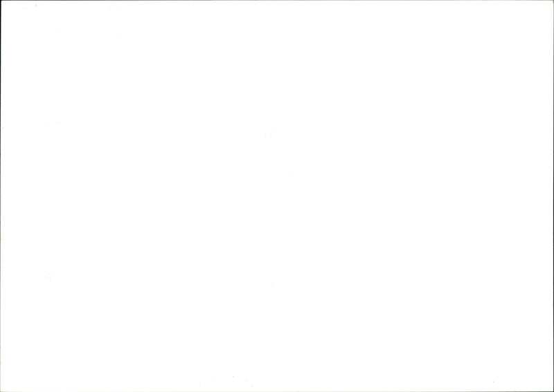 Garden - Vintage Photograph