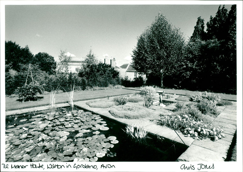 Garden - Vintage Photograph
