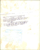 Queen Elizabeth II - Vintage Photograph