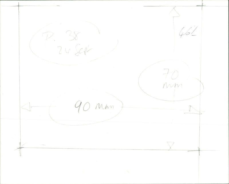 Gardens - Vintage Photograph