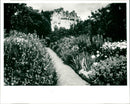 Gardens - Vintage Photograph