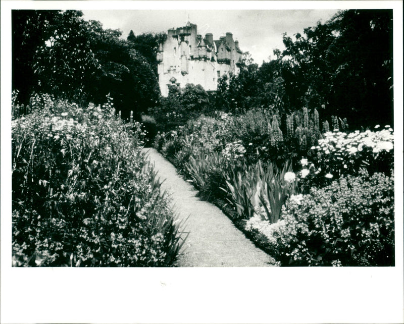 Gardens - Vintage Photograph