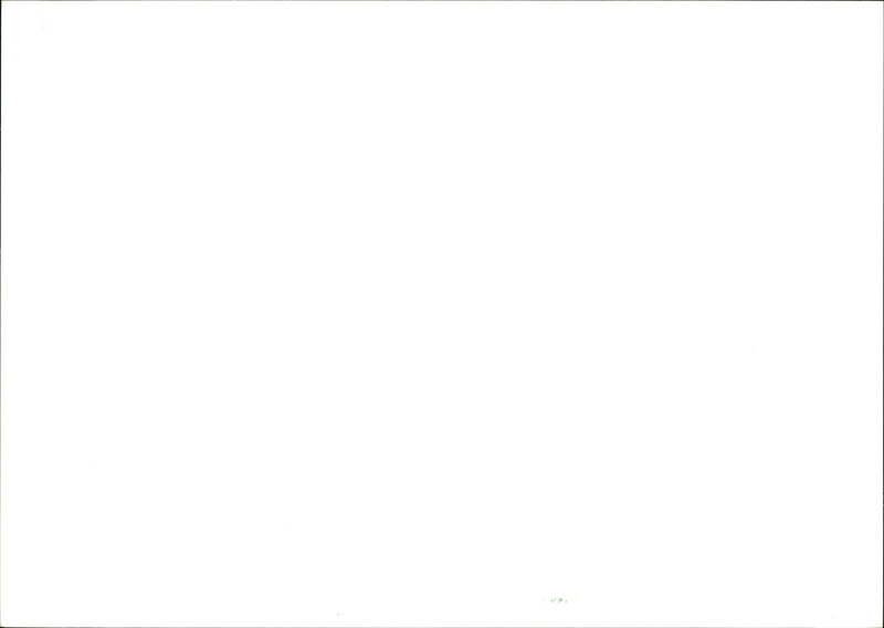 STEVE MUSIC MARY - Vintage Photograph