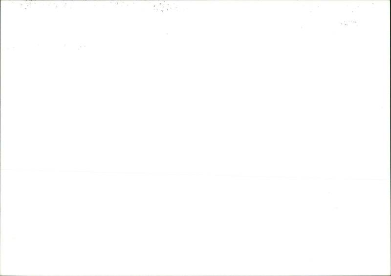 Topiary - Vintage Photograph