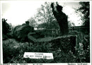 Topiary - Vintage Photograph