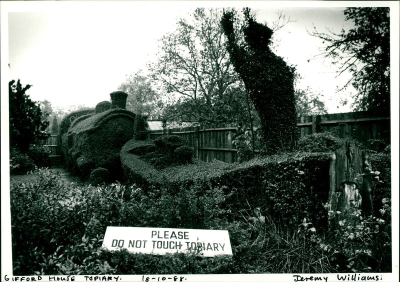 Topiary - Vintage Photograph