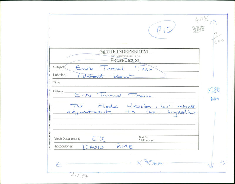 1987 ROSE TCH VOEL DAVID MODEL - Vintage Photograph