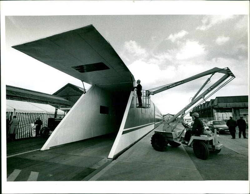 1987 ROSE TCH VOEL DAVID MODEL - Vintage Photograph