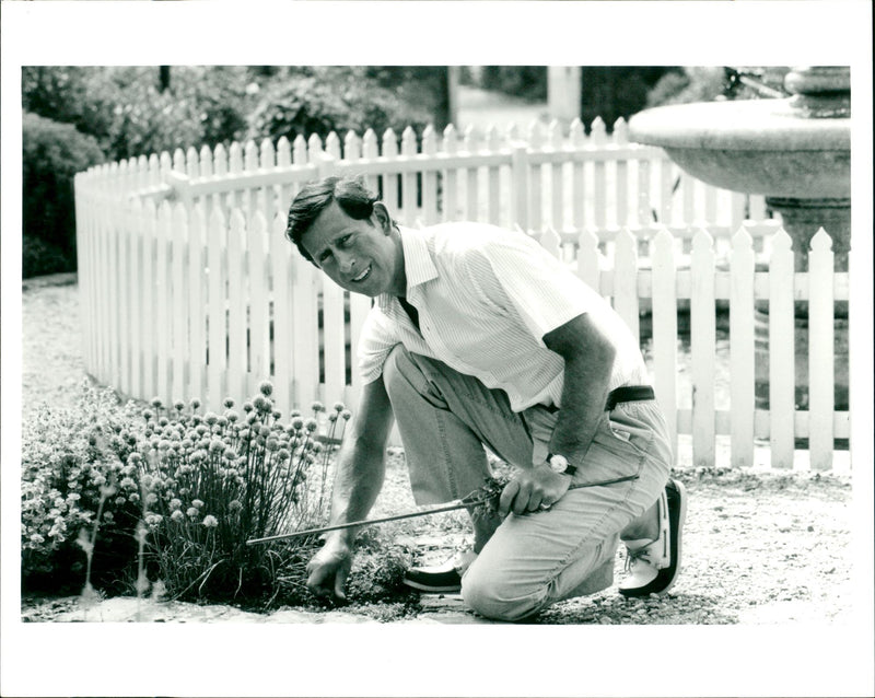 Prince Charles - Vintage Photograph