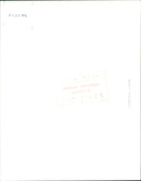 Prince Charles - Vintage Photograph