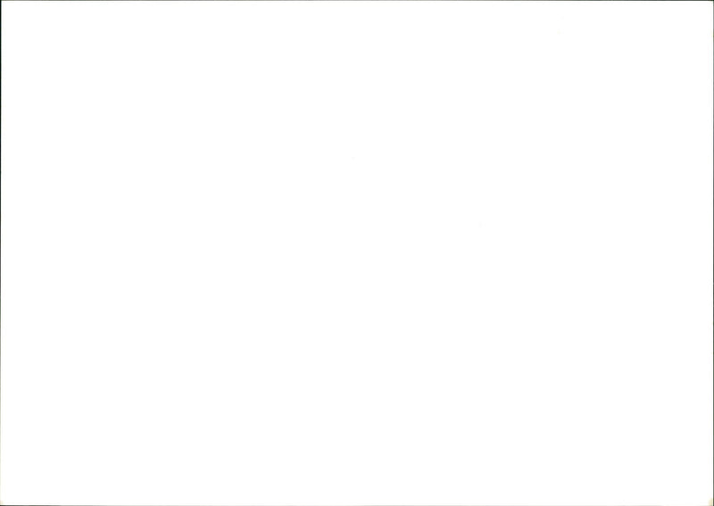 LANDSCAPE STAFF - Vintage Photograph