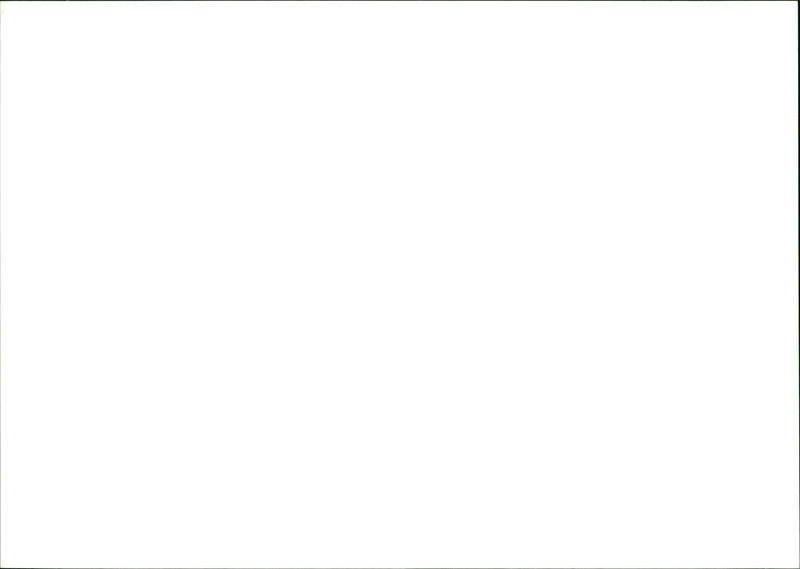 LANDSCAPE STAFF - Vintage Photograph