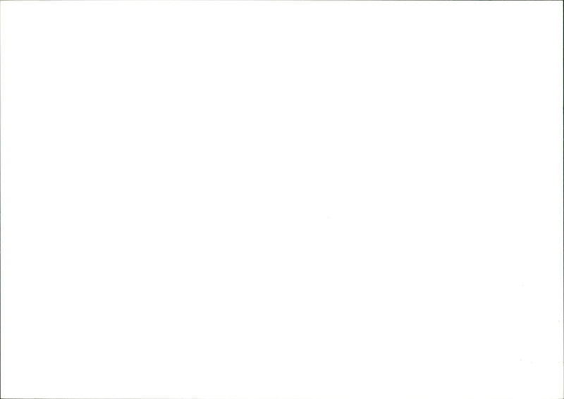 Heseltie in Blackpool LANDSCAPE STAFF - Vintage Photograph