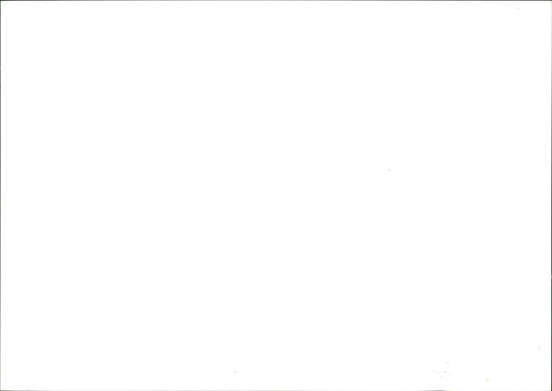 reset the leaing te cabiet meetig @ Darning street . C LANDSCAPE STAFF - Vintage Photograph