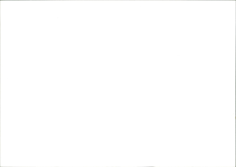 Heseltine MP LANDSCAPE STAFF - Vintage Photograph