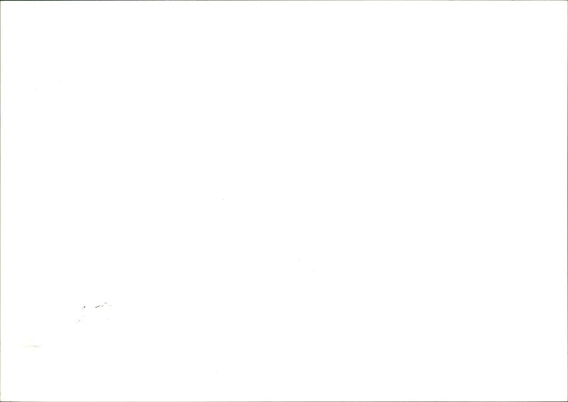 re Cadugen Hotel LANDSCAPE STAFF - Vintage Photograph