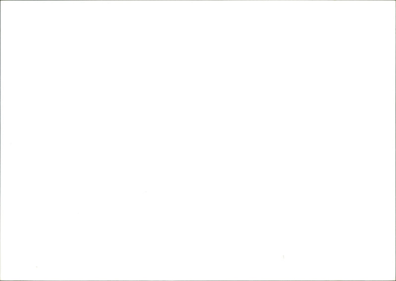 Meseltine No 10 Nov go Tomalston with sob as enveromet see LANDSCAPE STAFF - Vintage Photograph