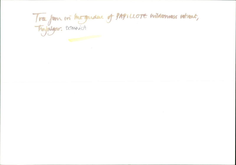 Dominica - Vintage Photograph