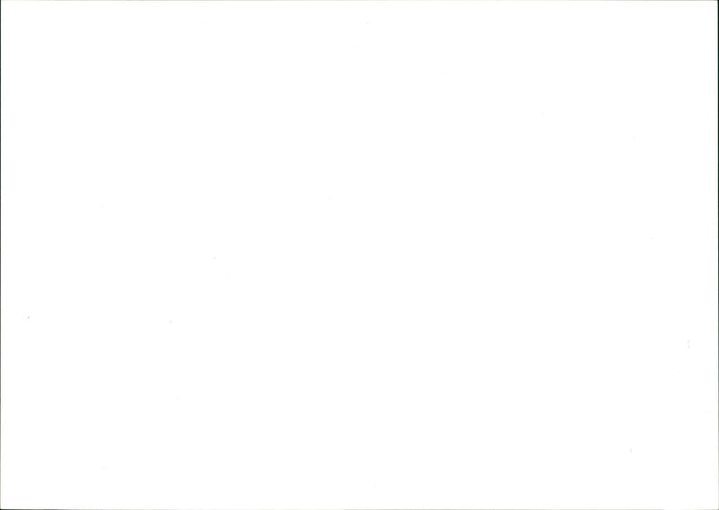 Heselnie -Doans St 11.9.92 Pic Dourd Rose LANDSCAPE STAFF - Vintage Photograph