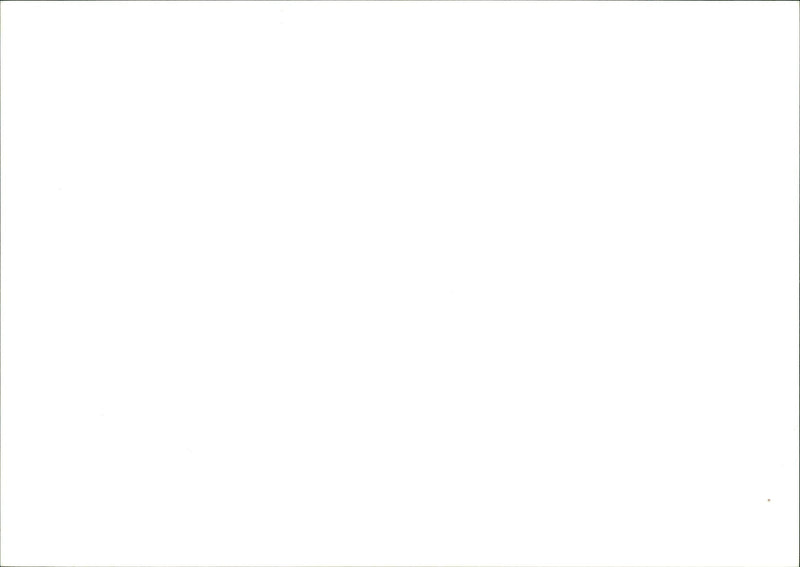 . LANDSCAPE STAFF - Vintage Photograph