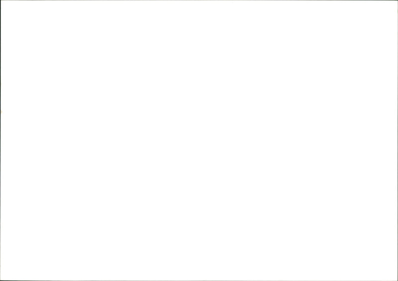 LANDSCAPE STAFF - Vintage Photograph