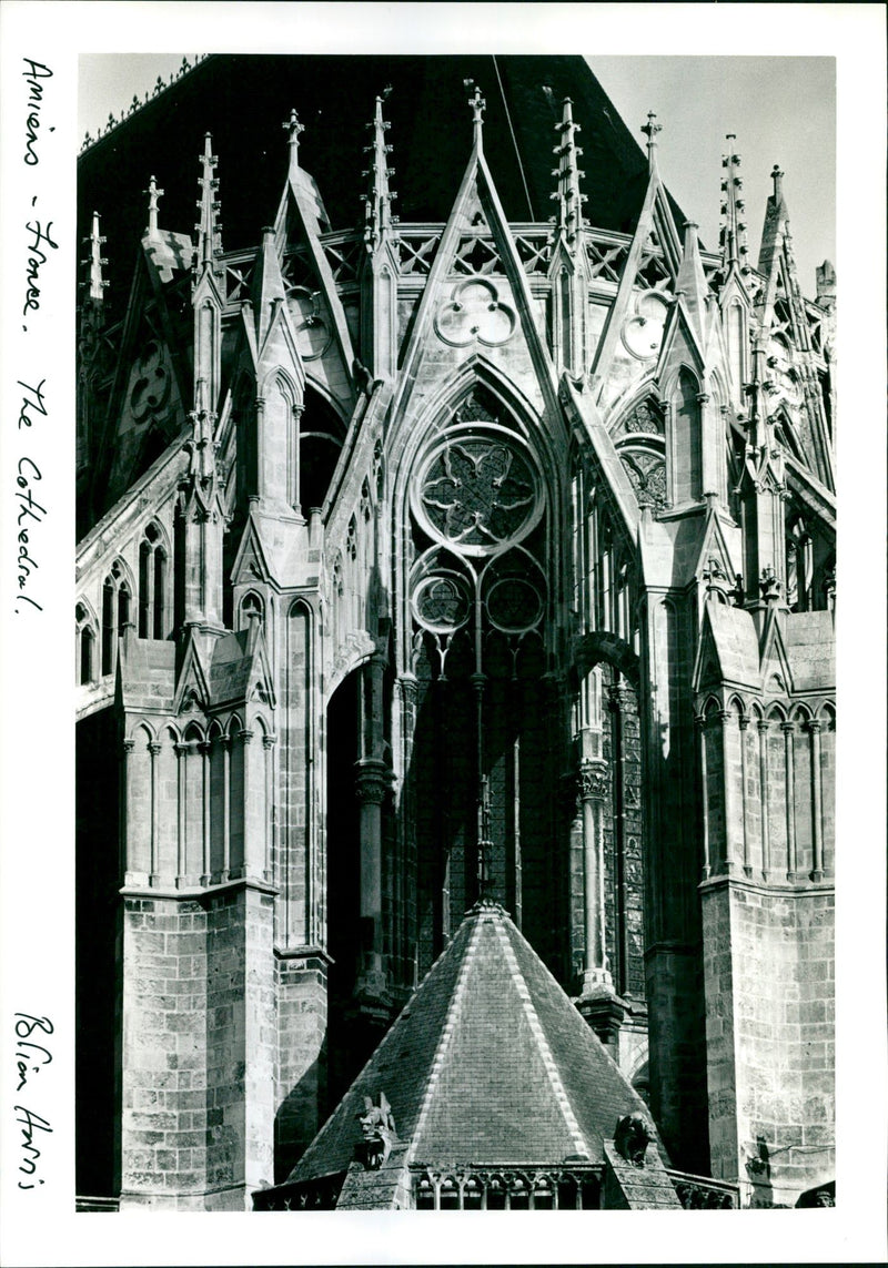 BRIAN HARRIS - Vintage Photograph