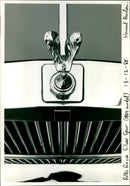 1988 HOWARD BARLOW MODEL - Vintage Photograph