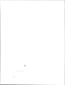 Queen Elizabeth II on D-Day - Vintage Photograph