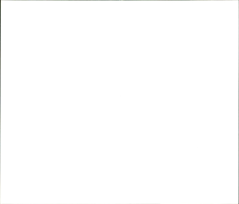 Queen Mathilde and Prince Philippe of Belgium - Vintage Photograph