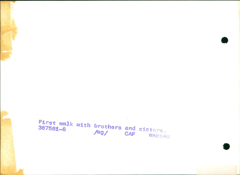 Little puppies - Vintage Photograph