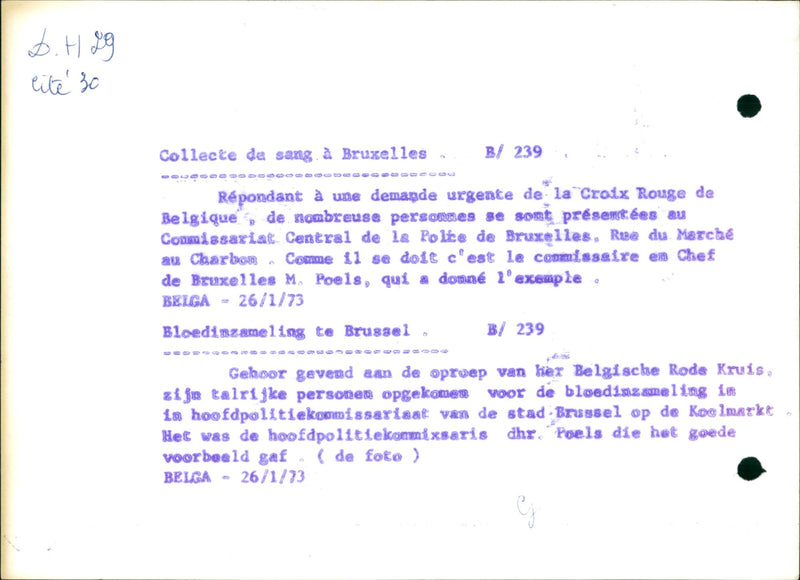 Blood collection in Brussels. - Vintage Photograph