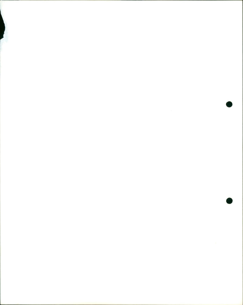 Biere BRUXELLES / / II / 5 / A L'INITIATIVE DE L'ASBL WILD PEACE , UN - Vintage Photograph