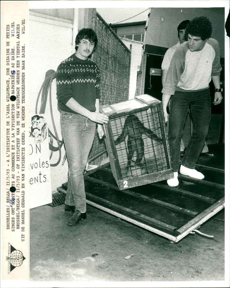 Biere BRUXELLES / / II / 5 / A L'INITIATIVE DE L'ASBL WILD PEACE , UN - Vintage Photograph