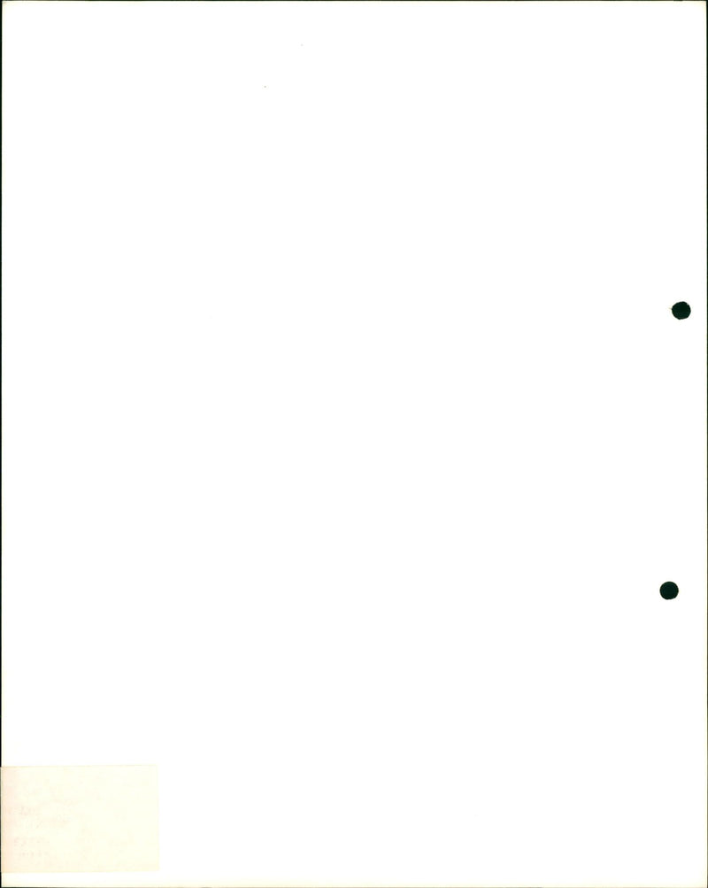 BRUXELLES / / 8/5/83 Copyrig BE - EXPOSITION CANINE AU HEYSEL -CE MAGN IF - Vintage Photograph