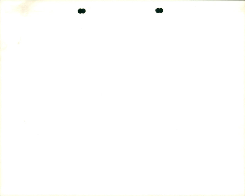 1979 CONCERT - Vintage Photograph