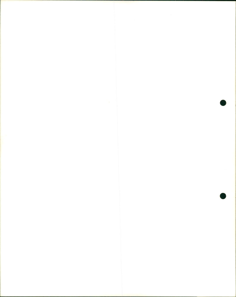 Vineyard - Vintage Photograph