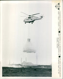 FABIOLA CONCERT BEAR - Vintage Photograph