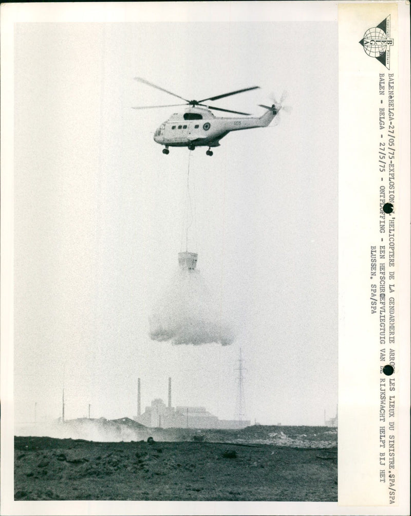 FABIOLA CONCERT BEAR - Vintage Photograph