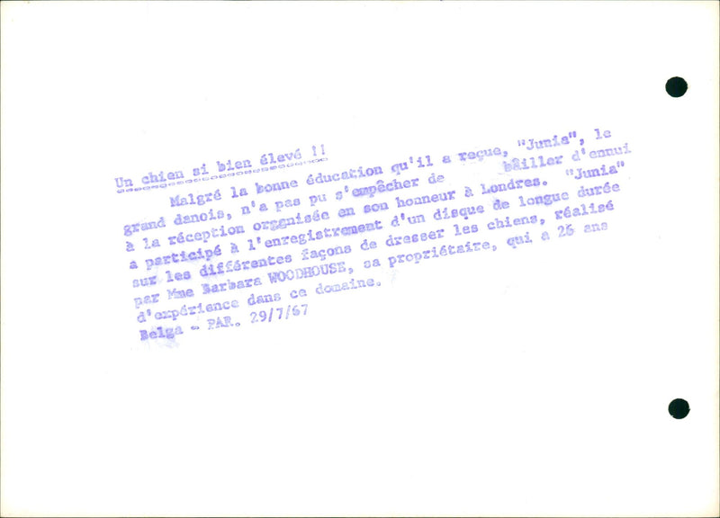 Barbara Woodhouse with her dog - Vintage Photograph