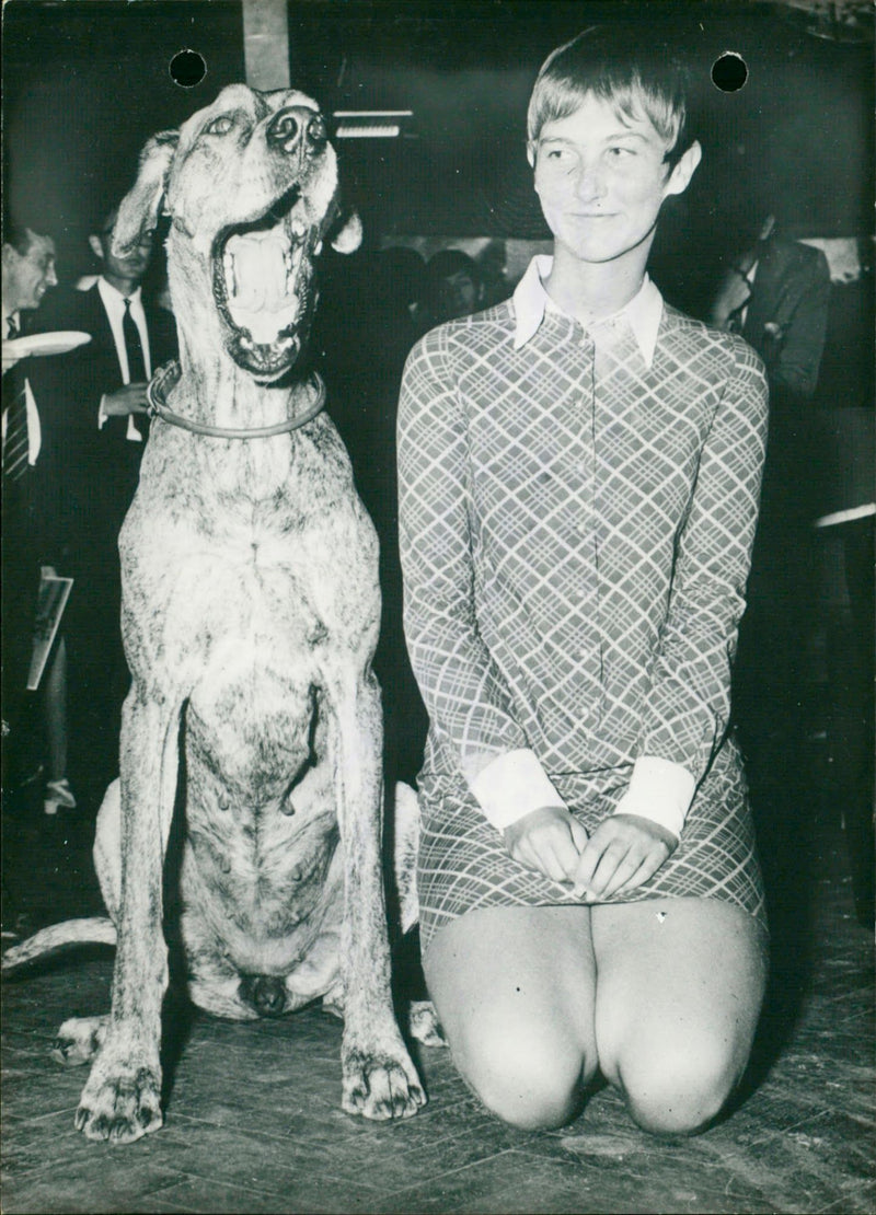 Barbara Woodhouse with her dog - Vintage Photograph