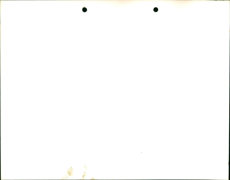 Cherry blossom. - Vintage Photograph