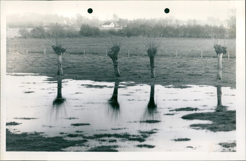 A flooded field - Vintage Photograph