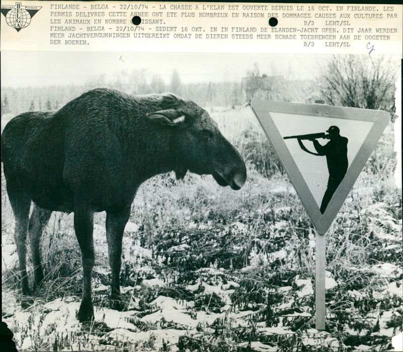Elk Hunting - Vintage Photograph