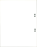 1980 AVRIL CONCERT - Vintage Photograph