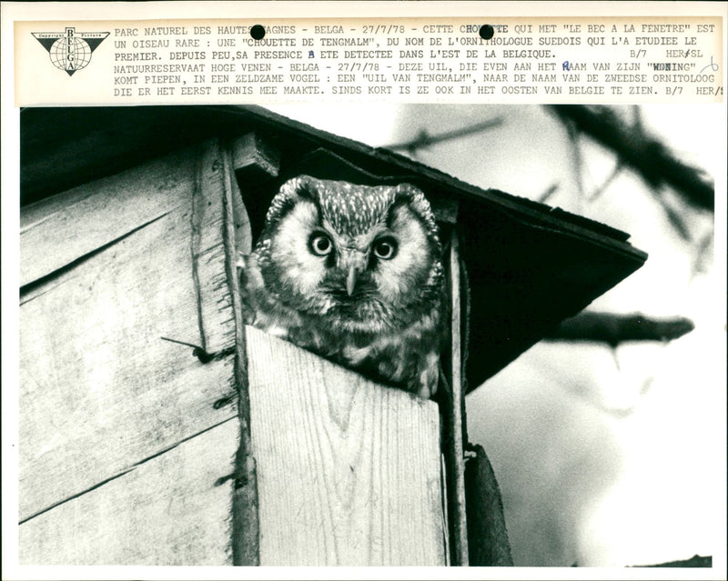 Tero PARC NATUREL DES HAUTES AGNES /7/78 - CETTE CHOY TE QUI MET " L - Vintage Photograph