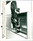 1979 ROCK CONCERT VERA - Vintage Photograph