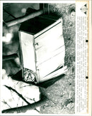 FICUTZ HGH PARC NATUREL DES HAUTES SNES /7/78 - CETTE CHOUE QUI MET - Vintage Photograph