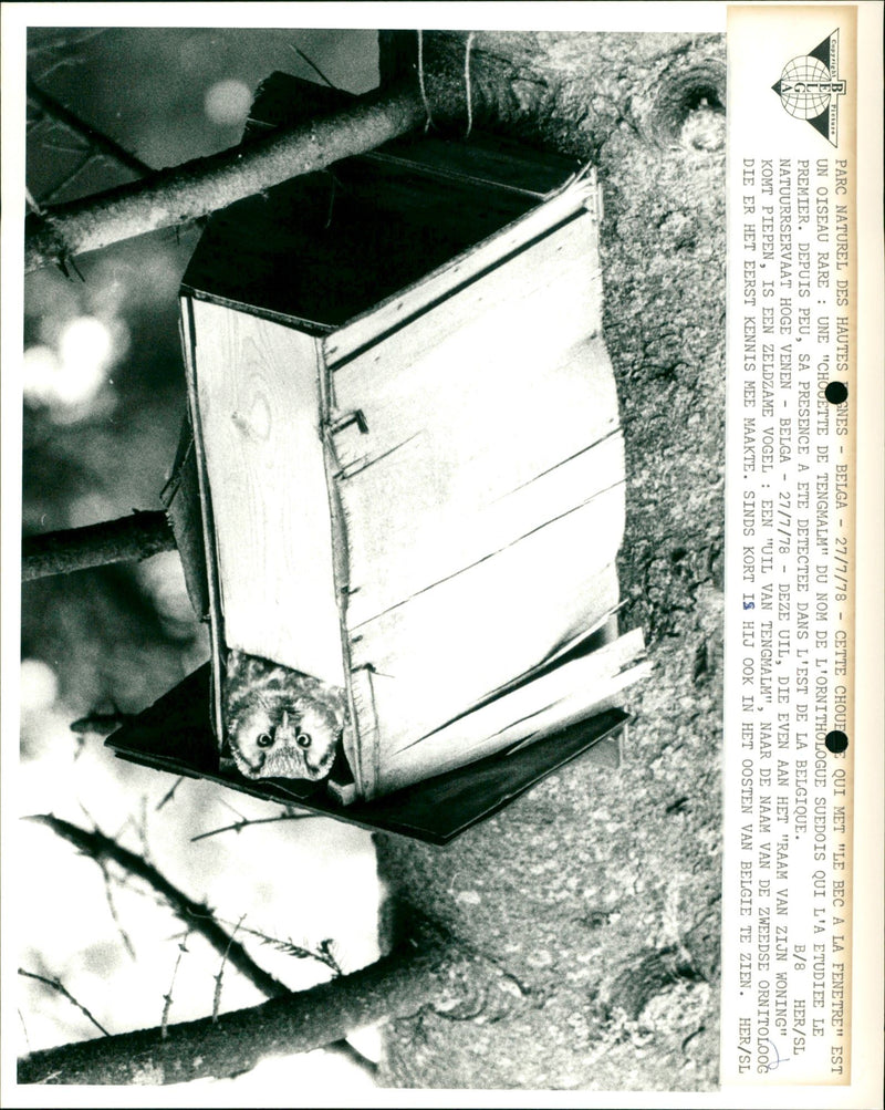 FICUTZ HGH PARC NATUREL DES HAUTES SNES /7/78 - CETTE CHOUE QUI MET - Vintage Photograph