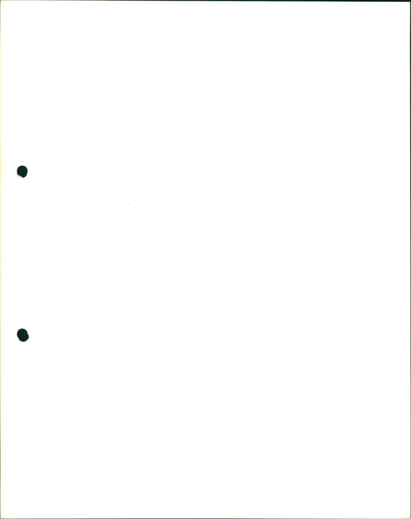 1978 MODEL PRESIDENT - Vintage Photograph